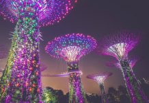 Singapore’s UOB teams up with OurCrowd to get started in FinTech