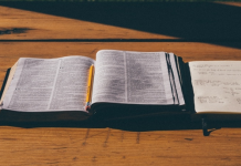 SelfScore pockets $7.1m to serve international students