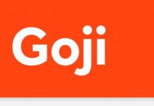 Auto insurer Goji hits more than $89m in total financing