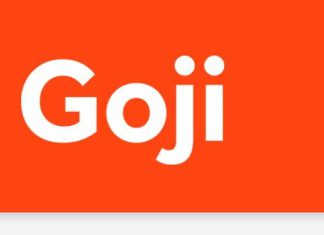 Auto insurer Goji hits more than $89m in total financing