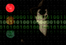Featurespace picks up $9m for machine-learning fraud detection