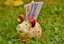 Plum nabs $500,000 for savings chatbot