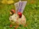 Plum nabs $500,000 for savings chatbot