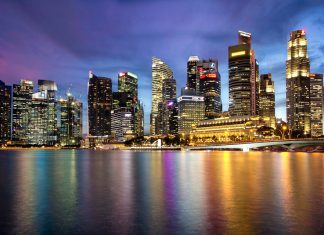Early stage fund SeedPlus lands $2m from IFC