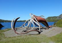 Big Squid grabs $3m to predict business scenarios