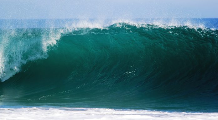 Finance management platform Wave picks up $24m