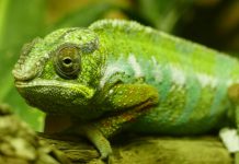 Gecko lands $1m for Blockchain-based compliance solution