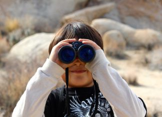 NEX launches short code identity service for MiFID II, GDPR compliance