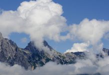 Openlink partners with FWD to expand of cloud adoption benefits