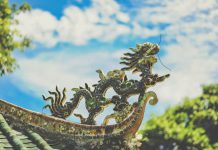 Cogint’s KYC subsidiary buys stake in Dragonchain