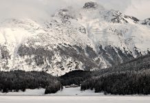 Swiss financial authority to regulate some ICOs