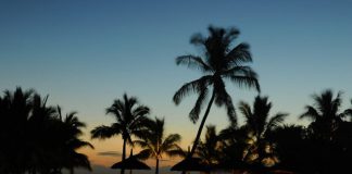 Mauritius to build regulatory ecosystem for FinTechs