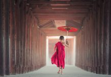Institute of Risk Management releases new insurance guidance framework
