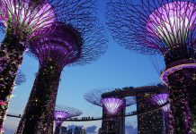 United Overseas Bank selects NeoXam for FRTB & BCBS239