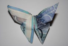 Origami Risk lands investment from Spectrum Equity