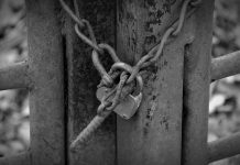 Kenna Security lands $25m in Bessemer-led round