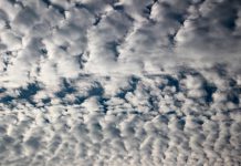 SpyCloud collects $5m to prevent account takeovers