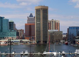 Cerebro Capital bags Series A from Sterling Partners, TEDCO fund