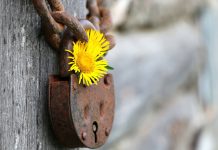 StackRox lands $25m for container security platform