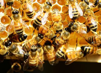 The Hive closes Fund III on $26.5m to help back over 7 startups
