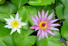 Fyle collects $1.1m for expense management platform