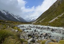 New Zealand joins Open Banking initiative through API pilot