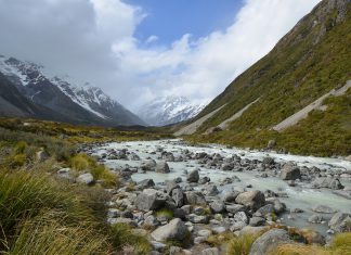 New Zealand joins Open Banking initiative through API pilot