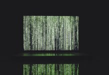 Nexusguard & NG partner to protect MENA region from DDoS attacks