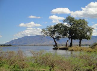 Stanbic Bank Zambia picks BankBI for regulatory reporting
