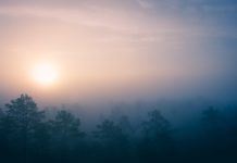 Nordic banks look to establish joint KYC venture