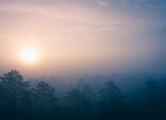 Nordic banks look to establish joint KYC venture