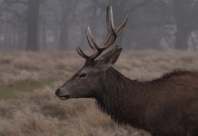 Close Brothers picks Red Deer for MiFID II compliance