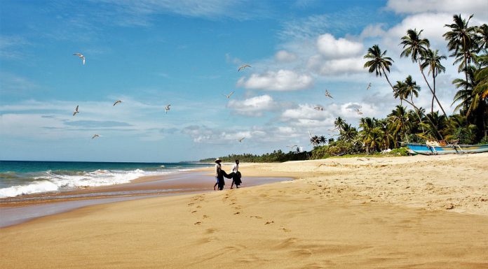Central Bank of Sri Lanka eyes FinTech regulatory sandbox