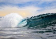 Wavemaker eyes up $75m for fifth VC fund
