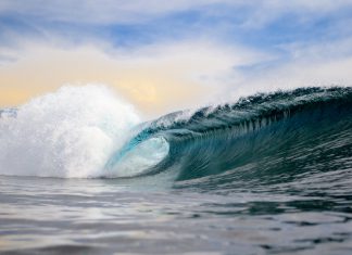 Wavemaker eyes up $75m for fifth VC fund