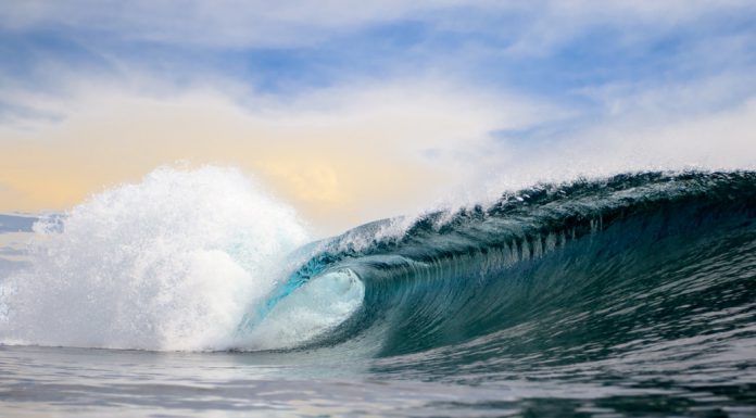 Wavemaker eyes up $75m for fifth VC fund