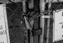 ProEquities launches Cybersecurity platform to protect financial advisors