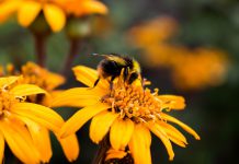 Enterprise DevOps platform CloudBees raises $62m