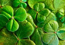 Enterprise Ireland launches new fund & RegTech white paper