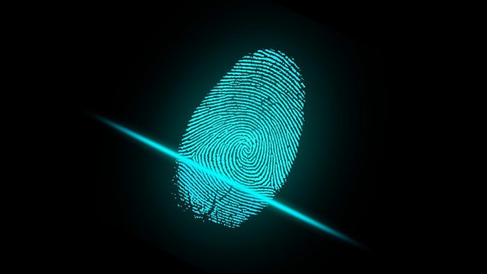 finger-2081169_960_720