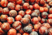 Plum integrates chatbot solution with Monzo, Starling through Open Banking