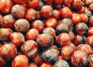 Plum integrates chatbot solution with Monzo, Starling through Open Banking