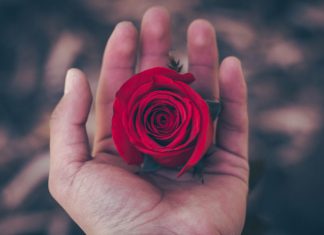 Rosecliff Ventures raises over $74m for its second venture vehicle