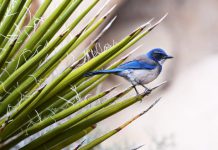 Earlybird Venture Capital closes sixth early-stage tech fund on €175m