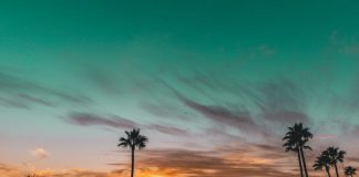 OneTrust launches new California Consumer Privacy Act tool