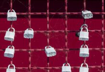 New Knowledge reels in $11m for cybersecurity offering