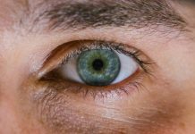 IriTech and Gigzi working on iris-based security solution