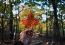 Canadian Securities Administrators partners with Kx