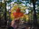 Canadian Securities Administrators partners with Kx