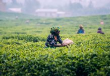 Safetrade Africa taps Ipsidy’s identity and authentication solutions